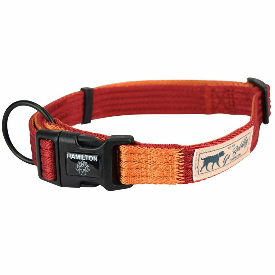Dog Hamilton | Hamilton Go Boldly Red & Mango Adjustable Dog Collar ...